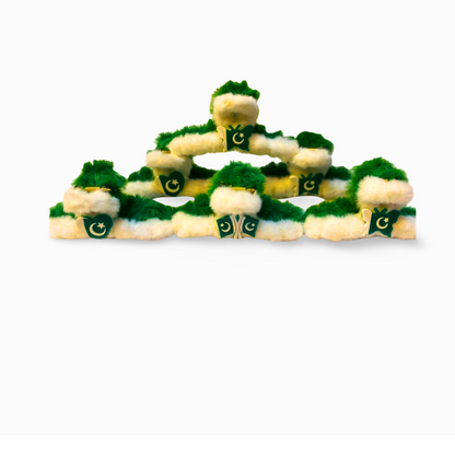 Stylish "Clutcher" with Pakistan Flag Emblem – Independence Day Special Edition 3 Pieces
